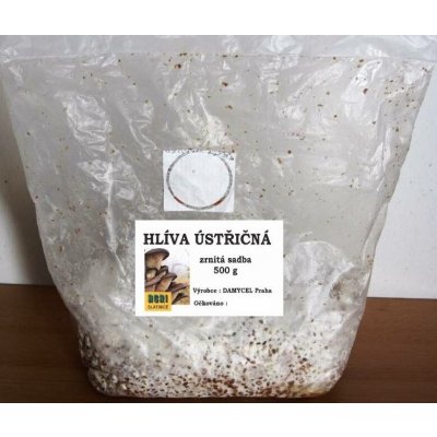 Sadba Hlíva ústřičná cca 0,5 kg – HobbyKompas.cz