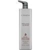 Přípravek proti šedivění vlasů L’anza Healing ColorCare Silver Brightening Conditioner 1000 ml