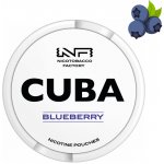 Cuba White Blueberry Borůvka Medium Strong 16 mg/g 20 sáčků – Zboží Mobilmania