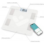 TrueLife FitScale W4 BT – Zbozi.Blesk.cz