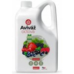 Nanolab Pravá octová aviváž Lesní směs 2 l – Zboží Dáma