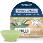 Yankee Candle vonný vosk Sage & Citrus Šalvěj a citrus 22 g – Zboží Dáma