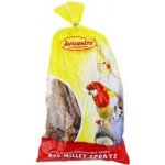 Avicentra Burské oříšky 10 kg – Zboží Dáma