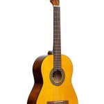 Stagg SCL50 – Sleviste.cz