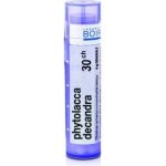 PHYTOLACCA DECANDRA POR 30CH GRA 4G – Hledejceny.cz