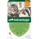 Advantage Spot-on pro malé kočky a králíky 40 mg 1 x 0,4 ml – Hledejceny.cz