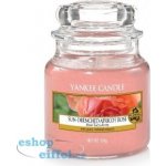 Yankee Candle Sun-Drenched Apricot Rose 104 g – Zbozi.Blesk.cz