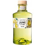 June by G´Vine gin poire liqueur 37,5% 0,7 l (holá láhev) – Zboží Dáma