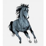 Samolepka (na auto, notebook) kůň (11) – Hledejceny.cz