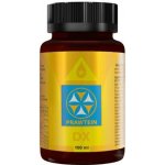Bewit PRAWTEIN DX 100 ml – Hledejceny.cz