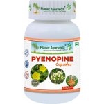 Planet Ayurveda Pyenopine 500 mg 60 kapslí – Hledejceny.cz