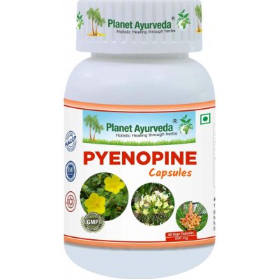 Planet Ayurveda Pyenopine 500 mg 60 kapslí – Hledejceny.cz