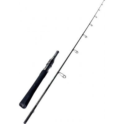 Sportex Black Arrow G-3 Street 2,1 m 3-19 g 1+1 díly – Hledejceny.cz