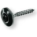 Coleman Klempířský vrut - TX20 4,5X045 - Černá 32002-250 – Hledejceny.cz