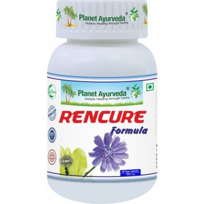 Planet Ayurveda Rencure Formula 500 mg 60 kapslí – Hledejceny.cz