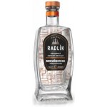 Radlík Meruňkovice Velkopavlovická 45% 0,5 l (holá láhev) – Zboží Dáma