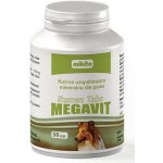 Mikita Rumen tabs Megavit 50 tab. – Hledejceny.cz