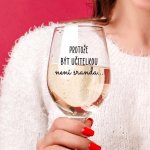 Ahome Sklenice na víno Protože být učitelkou není sranda 450 ml – Zboží Mobilmania