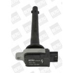 Zapalovací cívka BorgWarner (BERU) ZSE056 – Hledejceny.cz