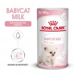 Royal Canin BabyCat milk 0,3 kg – Zboží Mobilmania