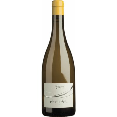 Kellerei Andrian Pinot Grigio 2022 13,5% 0,75 l (holá láhev) – Zboží Mobilmania