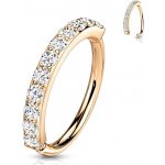 Šperky4U zlacený piercing do nosu ucha NS0047RD-1210 – Sleviste.cz