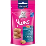 Vitakraft Yums losos 40 g – Zbozi.Blesk.cz