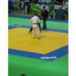 DAX Tatami judo – Zboží Mobilmania