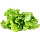 Click and Grow Click and Grow zelený salát kapsle se semínky a substrátem 3ks