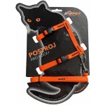 Bafpet Set CAT kšír + vodítko 120 cm 19 - 26 cm 24 - 37 cm – Zboží Dáma