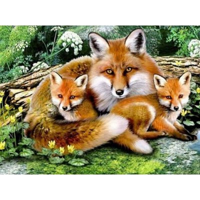 Norimpex diamantové malování Liščí rodinka 30 x 40 cm – Sleviste.cz