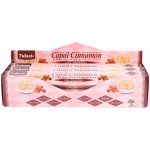 Tulasi Dual Vonné tyčinky Scented Copal Cinnamon 20 ks – Hledejceny.cz