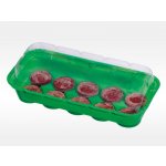 Romberg Minipařeniště Eleanor 26x11x7cm + 10 rašelinových tablet – HobbyKompas.cz