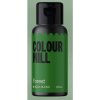 Potravinářská barva a barvivo Colour mill Aqua blend forest 20 ml