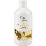 Corri D´Italia italský parfém na praní Verona 250 ml – Zbozi.Blesk.cz