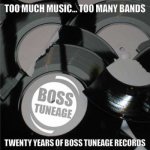 Various - Too Much Music Too Many Bands - Twenty Years Of Boss Tuneage Records CD – Hledejceny.cz