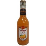 Shezan Mango Džus 250 ml – Hledejceny.cz