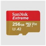 SanDisk SDXC UHS-I U3 256 GB SDSQXBD-256G-GN6MA – Sleviste.cz
