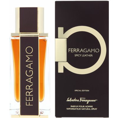 Salvatore Ferragamo Ferragamo Spicy Leather parfémovaná voda pánská 100 ml – Zboží Mobilmania