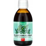 Vitateka Sirup z islandského lišejníku 120 ml – Hledejceny.cz