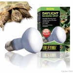 Žárovka Exo Terra Daylight Basking Spot 50W