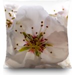 Dekorační polštář Flowers CN3606 | 45 x 45 cm – Hledejceny.cz