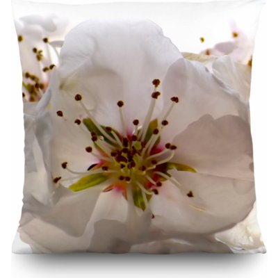 Dekorační polštář Flowers CN3606 | 45 x 45 cm – Hledejceny.cz