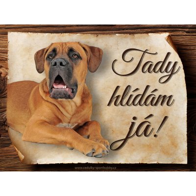 Sport hobby Cedulka Cane Corso II Tady hlídám já C1652 27x20 – Zboží Mobilmania