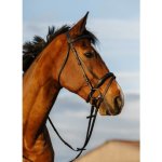 RIDING WORLD s anglickým nánosníkem černá – Hledejceny.cz