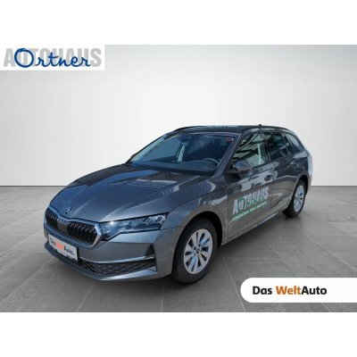 Skoda Octavia TDI Selection DSG 110 kW – Sleviste.cz