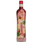 Berentzen Cherry Banana Cream 15% 0,7 l (holá láhev) – Hledejceny.cz