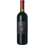 Torre Amarone suché červené 1997 0,75 l (holá láhev) – Hledejceny.cz