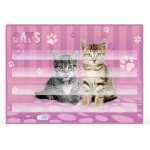 Podložka na sestavování slov Kočka – Zboží Dáma