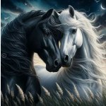 Norimpex Diamantové malování Zamilovaní koně 30 x 40 cm – Hledejceny.cz